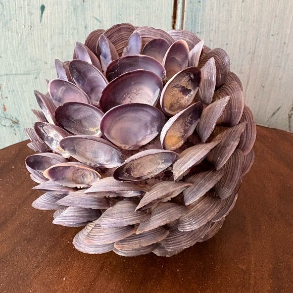 Pier 1 accent piece made entirely of small  seashells to enjoy anywhere - Picture 3 of 8